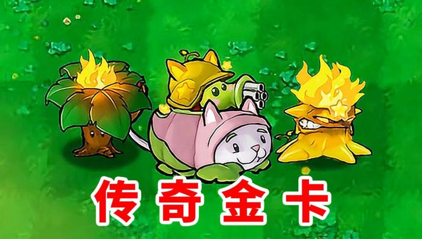 澳门今晚开奖结果开奖记录表,家有儿女是这样过妇女节的,精准解释落实及其象征意义_试用版V1.8