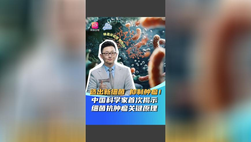 赛博汤圆我也是吃上了,特马网站资料最准2025,整体规划执行讲解_内测版V9.8